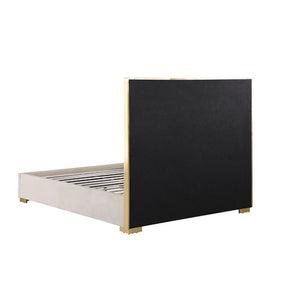 Ashysko White Gold Fully Upholstered Bed A modern platform bed frame with a tall black headboard, upholstered in a light beige fabric, and accented with gold-toned metal hardware, shown on a plain white background.