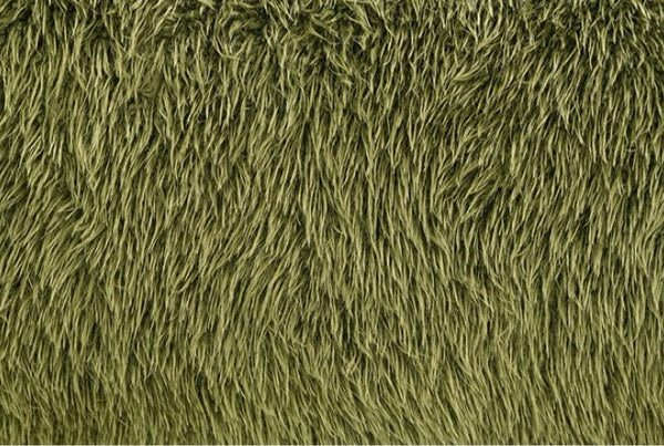 Dareen Contemporary Green Faux Fur Sofa with Ball Pillows Close-up of green grass texture