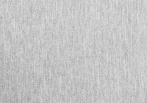 Erna Light Gray Chenille Fabric Loveseat