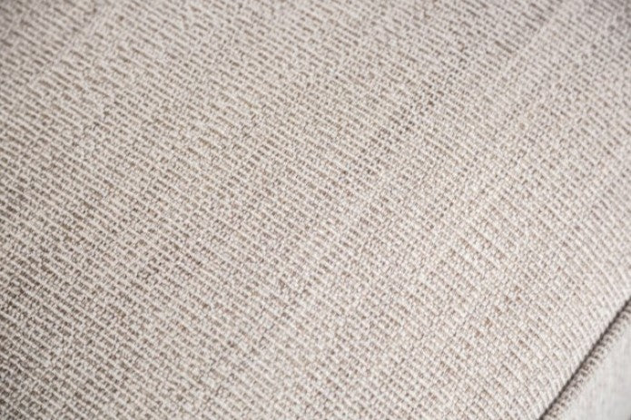 Erni Light Gray Fabric Sofa With Pillows