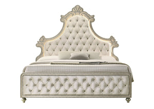 Sonya Beige Velvet Upholstered Traditional Style Bed Decorative bed with tufted headboard on a white background