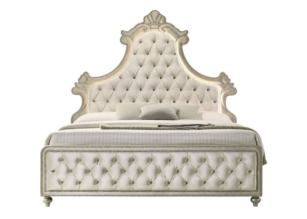 Sonya Beige Velvet Upholstered Traditional Style Bed Decorative bed with tufted headboard on a white background