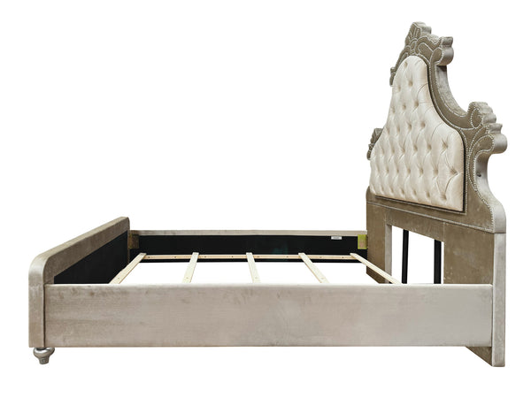 Sonya Beige Velvet Upholstered Traditional Style Bed Decorative bed with tufted headboard on a white background