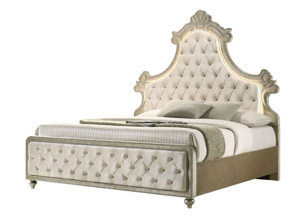 Sonya Beige Velvet Upholstered Traditional Style Bed Decorative bed with tufted headboard and footboard on a white background