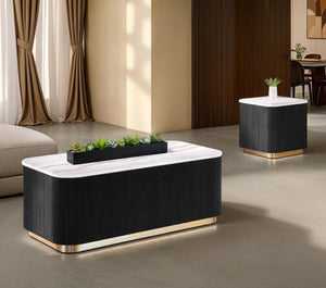 Modern coffee table with decorative elements in a living room setting