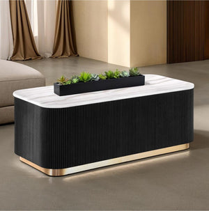 Modern coffee table with a black and white design in a living room setting.
