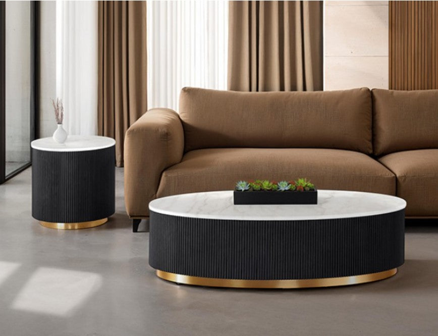 Modern coffee table with decorative plant in a living room setting