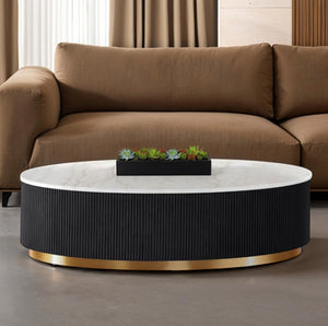 Modern coffee table with decorative plant in a living room setting